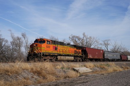 RLZ05304.JPG