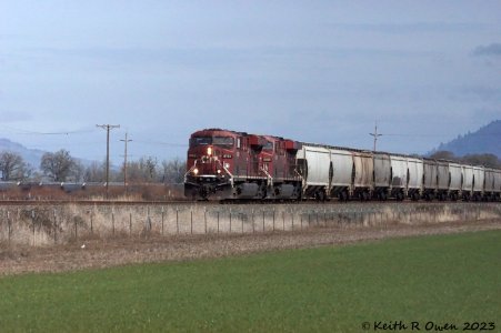 8 CP8763CP8800SouthGrainAlford02-20-23.jpg