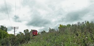 IMG_0054.jpg