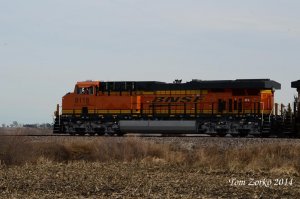 BNSF8118_102914.jpg