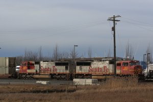 06.JPG