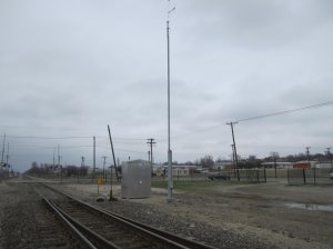 IMG_1339.jpg