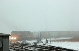 IMG_0606.jpg