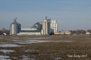 BlencoeGrain_011115.jpg