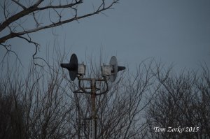 CNWSignal248_011115.jpg