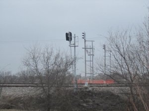 IMG_1344.jpg