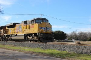 IMG_1051.jpg