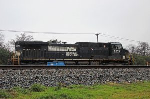 IMG_1221.jpg