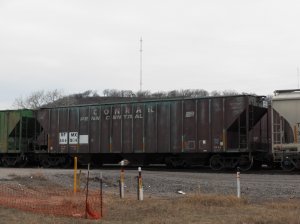 SDC11387.jpg