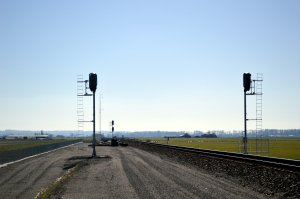 BMtVS0010.JPG
