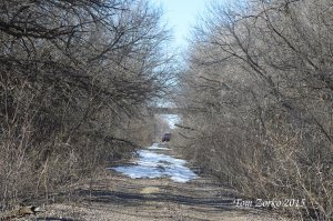 OriginalTranscon3_030115.jpg