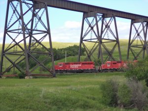CP 5016.jpg