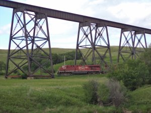 CP 8773.jpg