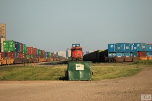 IMG_0238.jpg