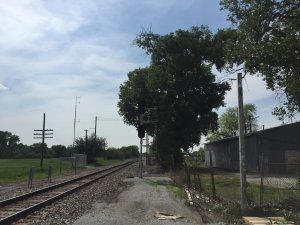 IMG_5230.jpg