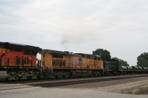 IMG_5434 (2) (1024x683).jpg