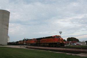 IMG_5440 (2) (1024x683).jpg