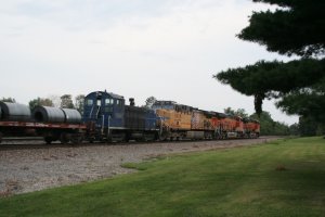 IMG_5441 (2) (1024x683).jpg