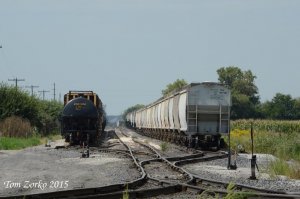 NCYard_090615.jpg