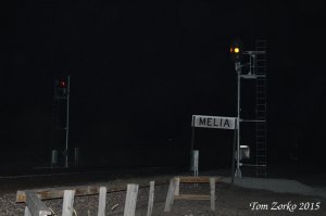 Melia_101015.jpg