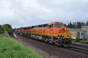 DSC_0171.jpg