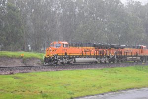 DSC_0138.jpg