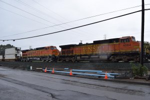 DSC_0109.jpg
