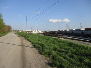 IMG_3019.jpg