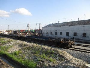 IMG_3009.jpg