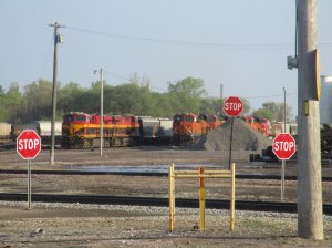 IMG_3040.jpg