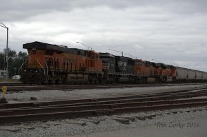 BNSF 7135_100116.jpg