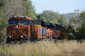 BNSF 7802_102816.jpg