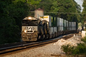 NS 2755 3 (Custom-Small).jpg