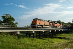 BNSF 6029 (Custom).jpg