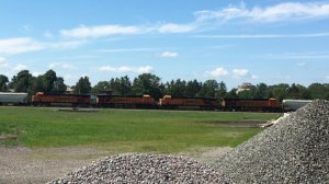 IMG_1149.jpg