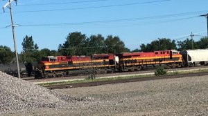 IMG_1150.jpg