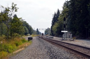 FerCusSwi081220170055.JPG
