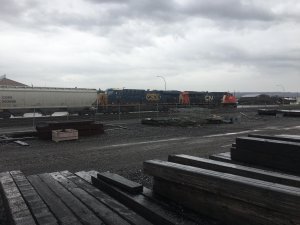 IMG_1361.jpg