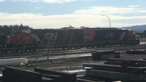 IMG_1355.jpg