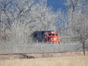 CN5449 EOmaha_2_012718.jpg