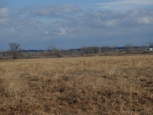 CN5449 EOmaha_1_012718.jpg