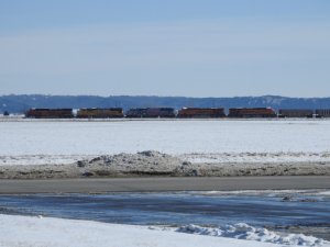 BNSF Coal Locos_020718.jpg