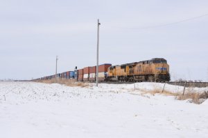 DSC_7957.JPG