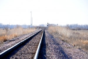 DSC_8446.JPG