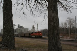 IMG_7337.jpg