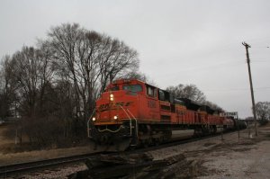 IMG_7344.jpg