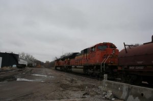 IMG_7345.jpg