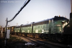 BN668_1976.jpg