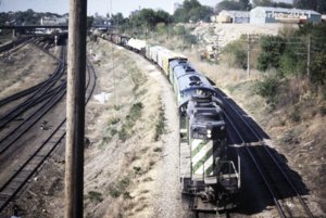 BN2018_1976.jpg