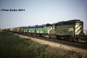 BN2019_1974.jpg